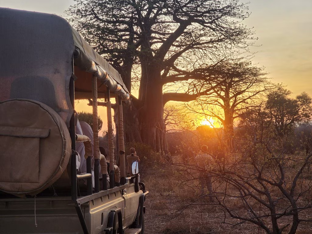 Ngorongoro Serena