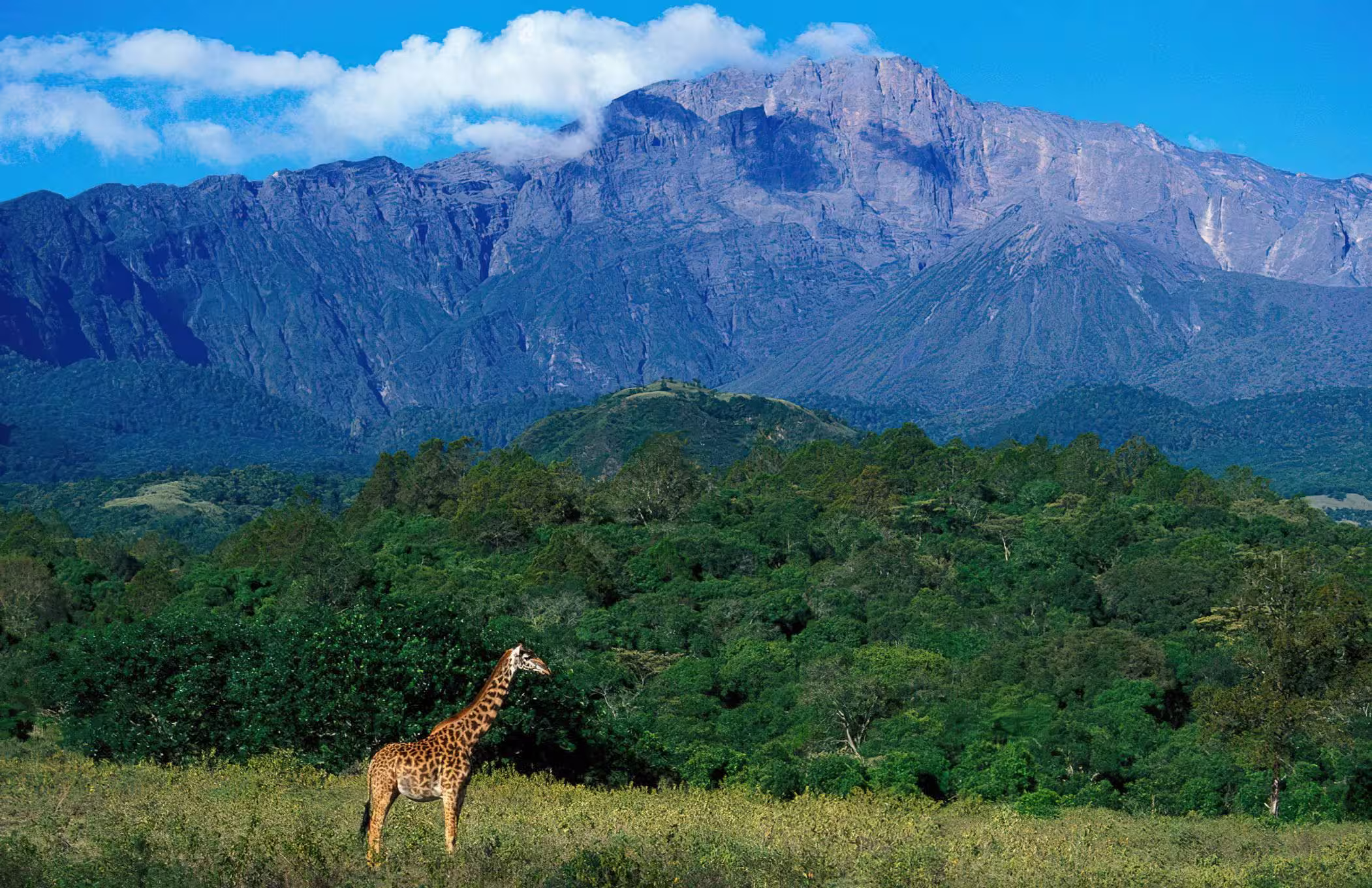 Western Tanzania