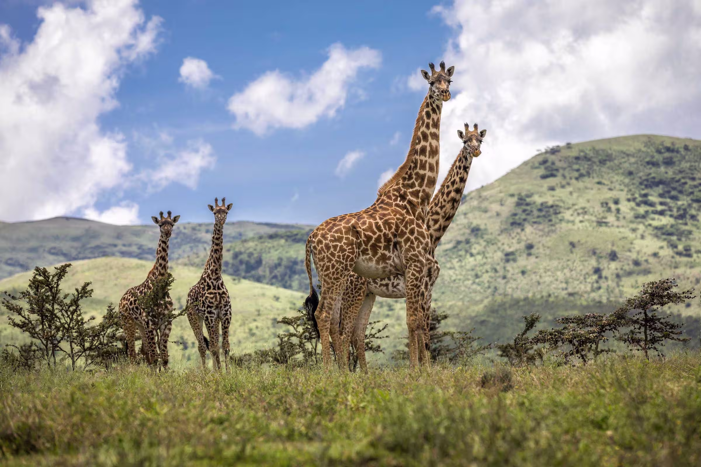 Arusha