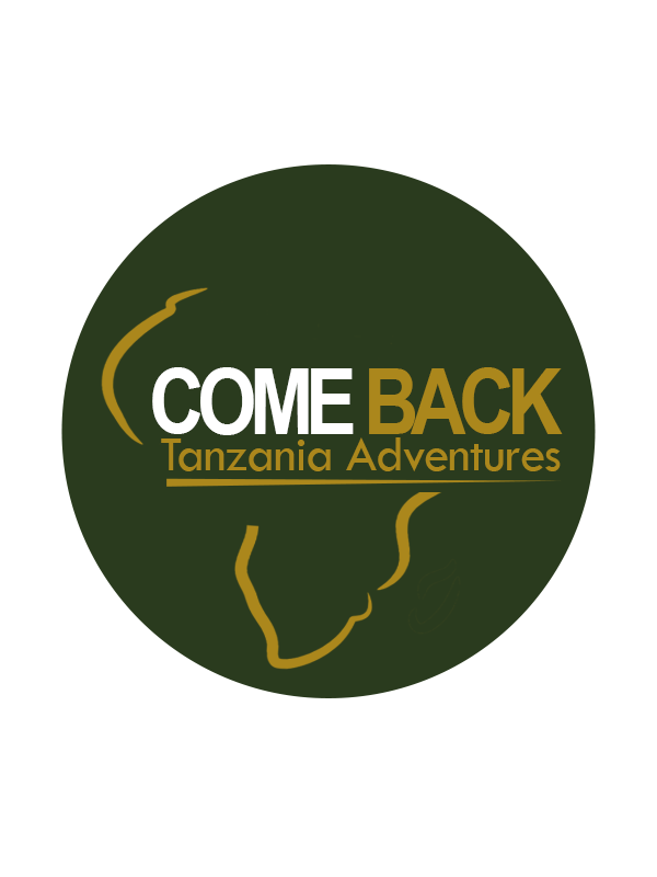Comeback Tanzania